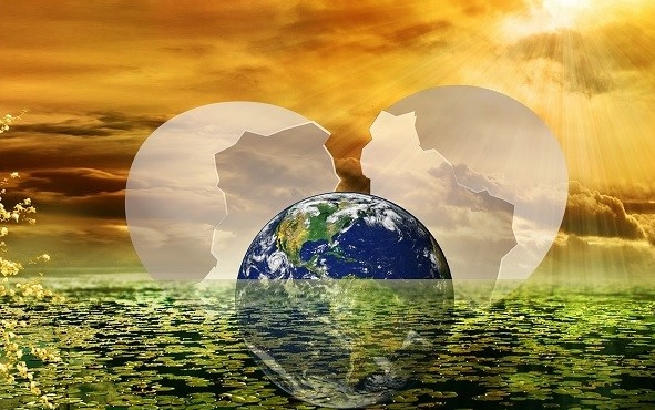 Silent Rebirth: Pelicans Stare Into an Empty Arena